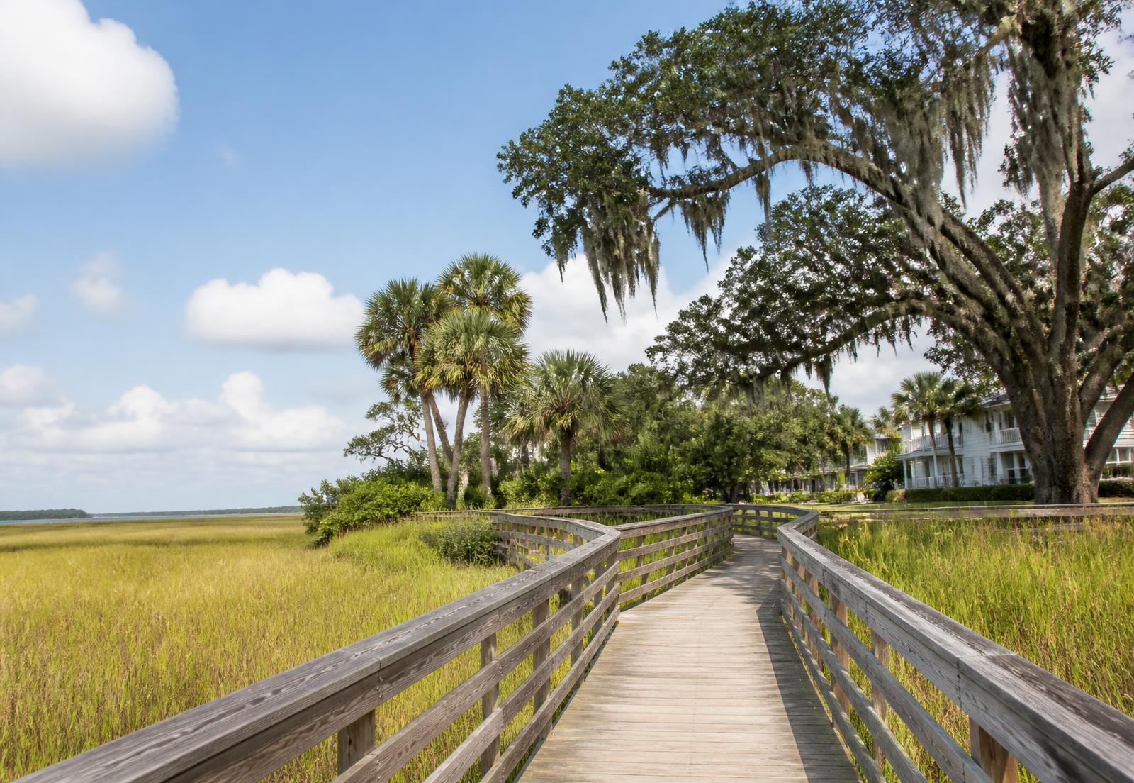 Boardwalk winding through Palencia's marsh and palm trees